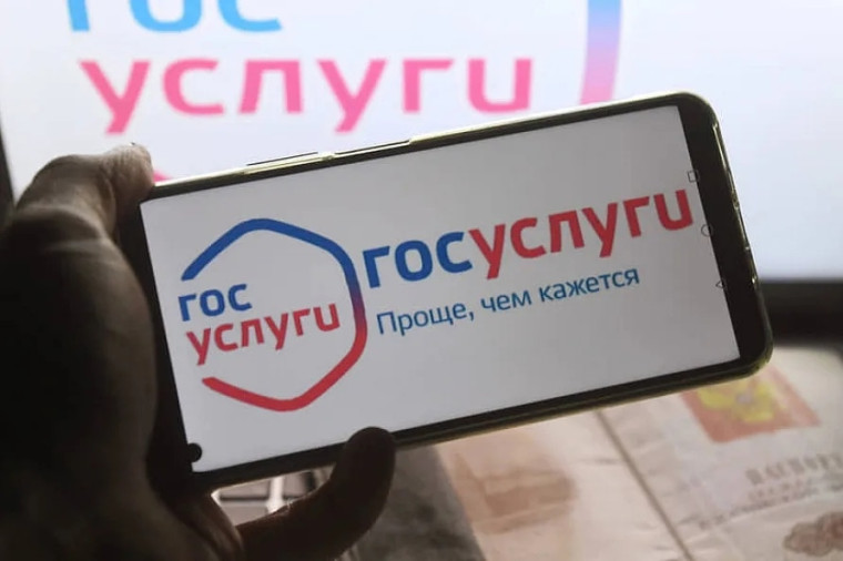 портал госуслуг.